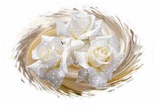 roses blanches scintillantes